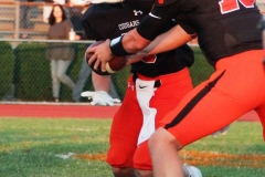 Palmyra football 021